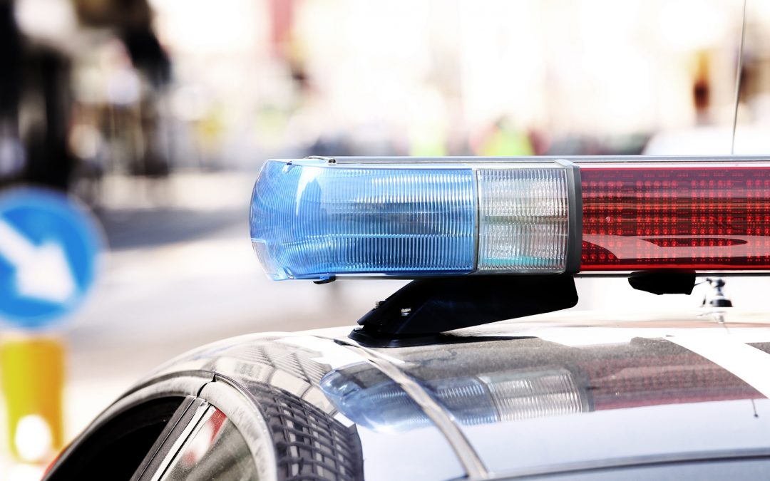 Man Shoots and Kills a Dog but is not Charged – Why? Man Shoots and Kills a Dog but is not Charged – Why?