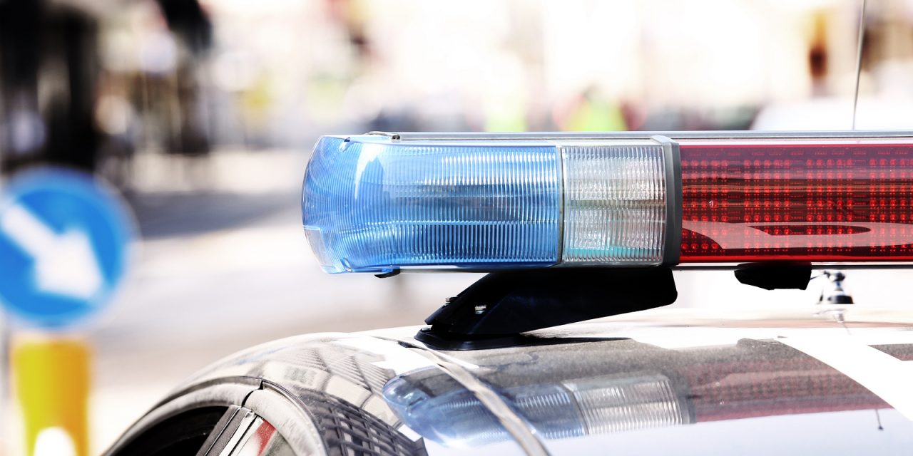 Man Shoots and Kills a Dog but is not Charged – Why?
