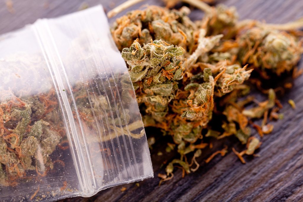 bigstock Close Up Dried Marijuana Leave 97248326 1024x683 - NJ State Police Lab Tech Allegedly Faked Marijuana Drug Crime Test Results